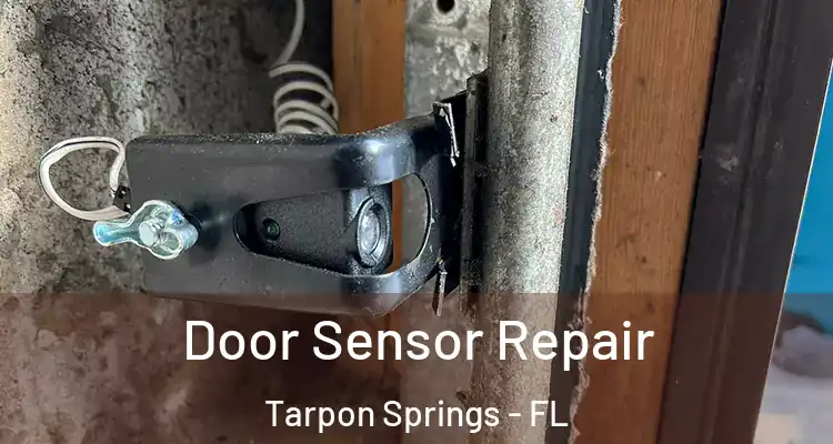  Door Sensor Repair Tarpon Springs - FL