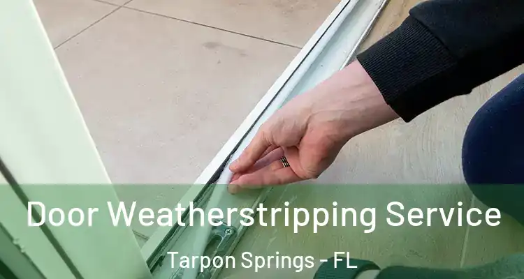  Door Weatherstripping Service Tarpon Springs - FL