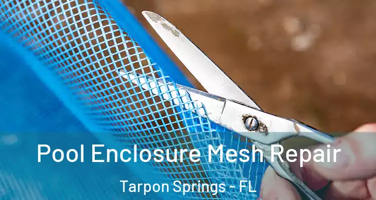  Pool Enclosure Mesh Repair Tarpon Springs - FL